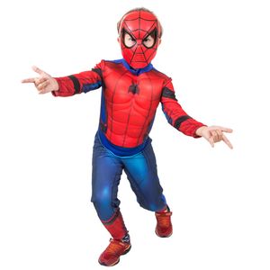 Fantasia Homem Aranha Avengers Luxo G - Regina Festas