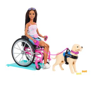 Barbie Com Cadeira de Rodas e Cão de Serviço - Mattel