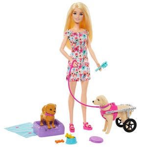 Barbie Passeio Animais com Cadeira de Rodas - Mattel